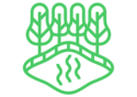 Green Plants Icon