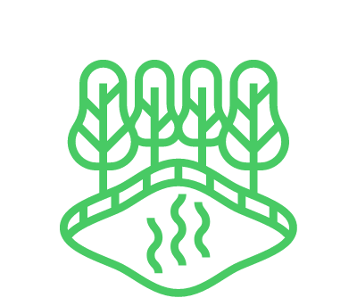 Green Plants Icon